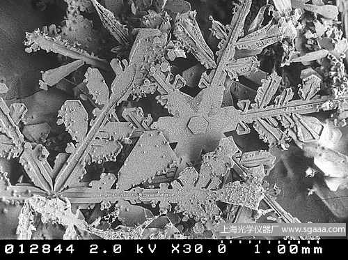 顯微鏡下的雪花