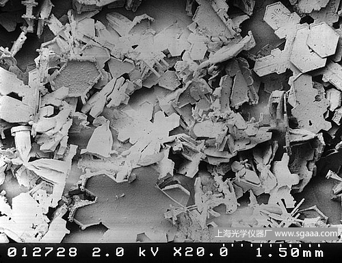 顯微鏡下的雪花