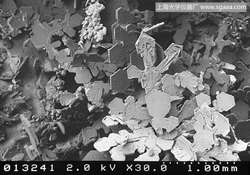 顯微鏡下的雪花