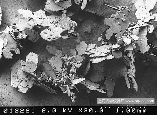 顯微鏡下的雪花