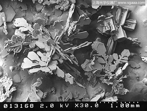 顯微鏡下的雪花