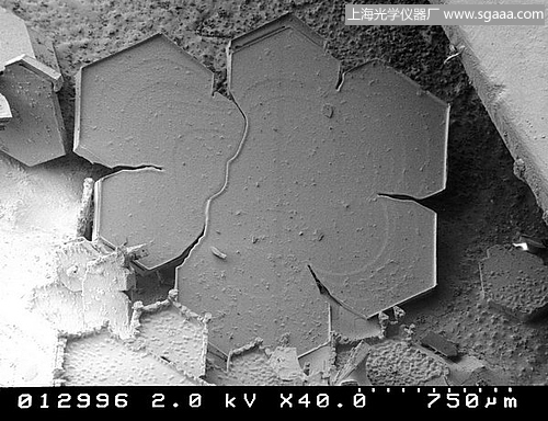 顯微鏡下的雪花