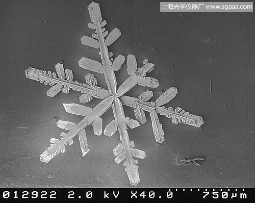 顯微鏡下的雪花