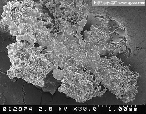 顯微鏡下的雪花