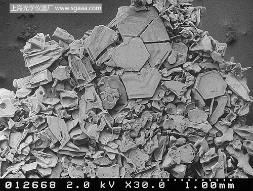 顯微鏡下的雪花