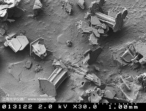 顯微鏡下的雪花