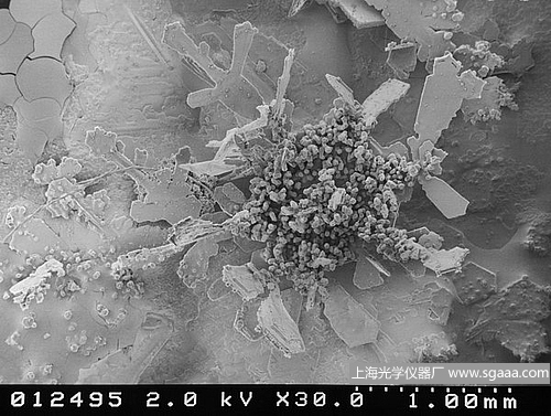 顯微鏡下的雪花