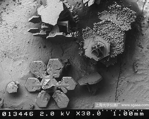 顯微鏡下的雪花