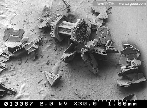 顯微鏡下的雪花