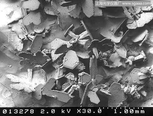 顯微鏡下的雪花