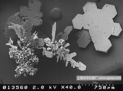 顯微鏡下的雪花