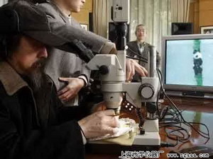 顯微鏡下塑熊貓2