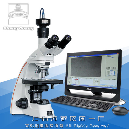 @΢۵ȼ(j)ϵy(tng)YP-2