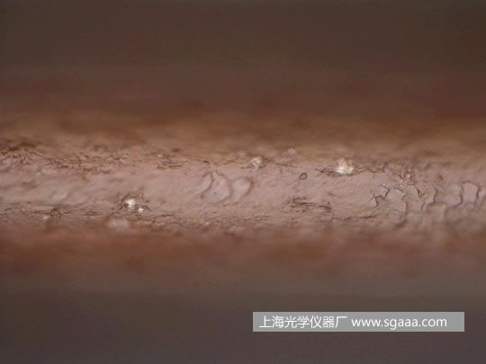 @΢R¿CȾp^l(f)